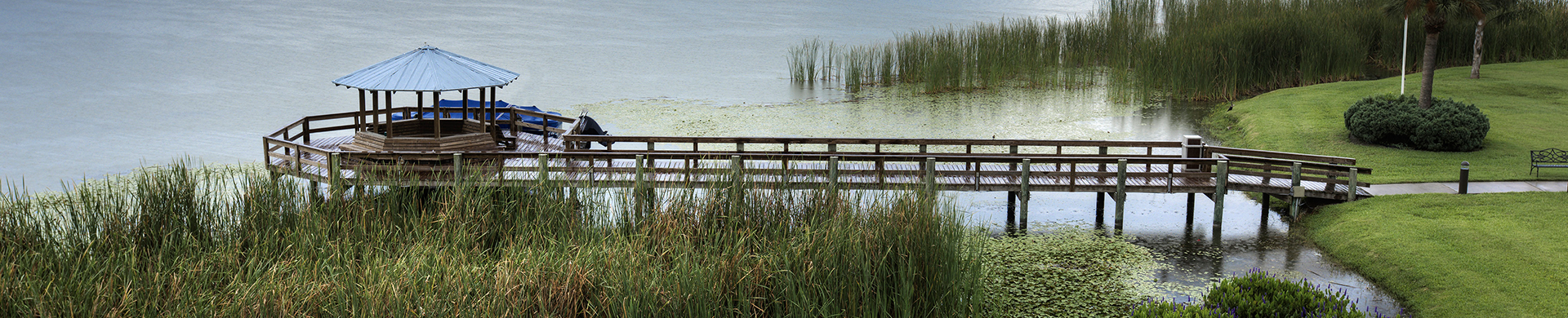 A portion of a walking path along Lake Seminole 